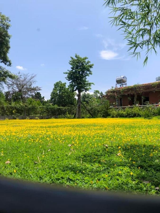 Dugiang Homestay Buôn Ma Thuột Extérieur photo