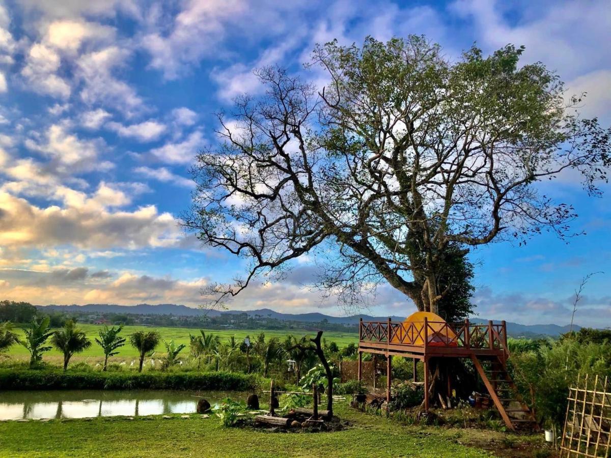 Dugiang Homestay Buôn Ma Thuột Extérieur photo